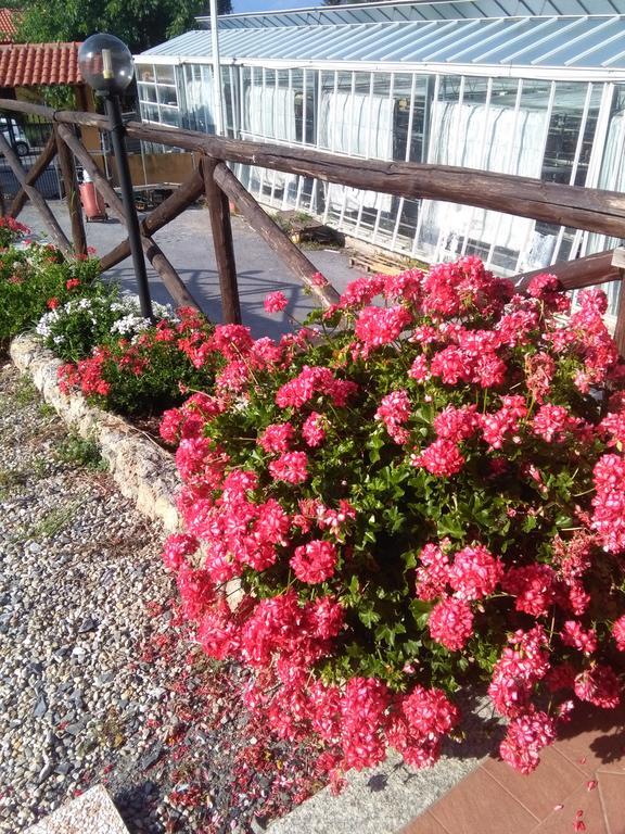 Agriturismo Tendapiccola Ceriale Ngoại thất bức ảnh