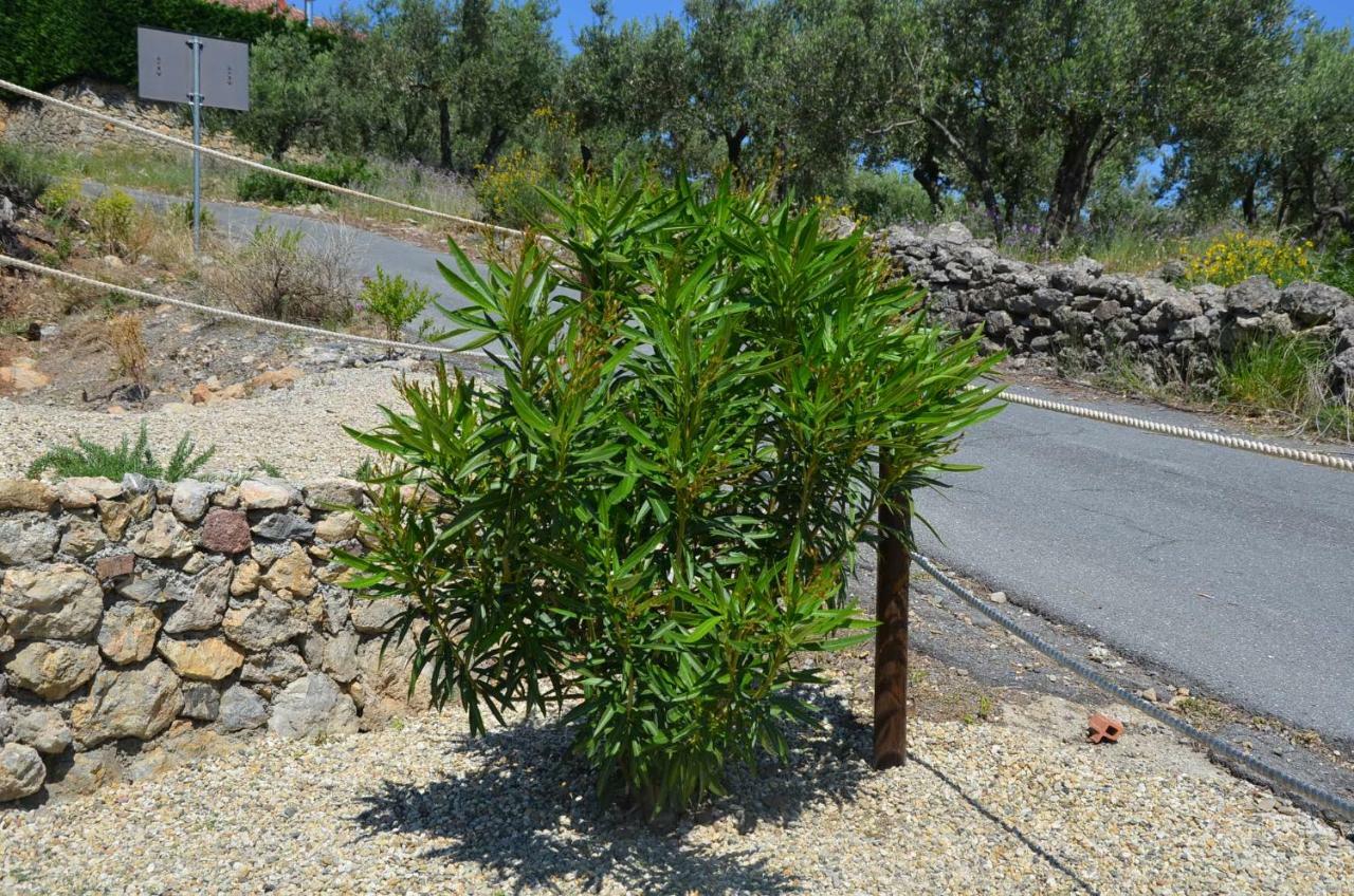 Agriturismo Tendapiccola Ceriale Ngoại thất bức ảnh